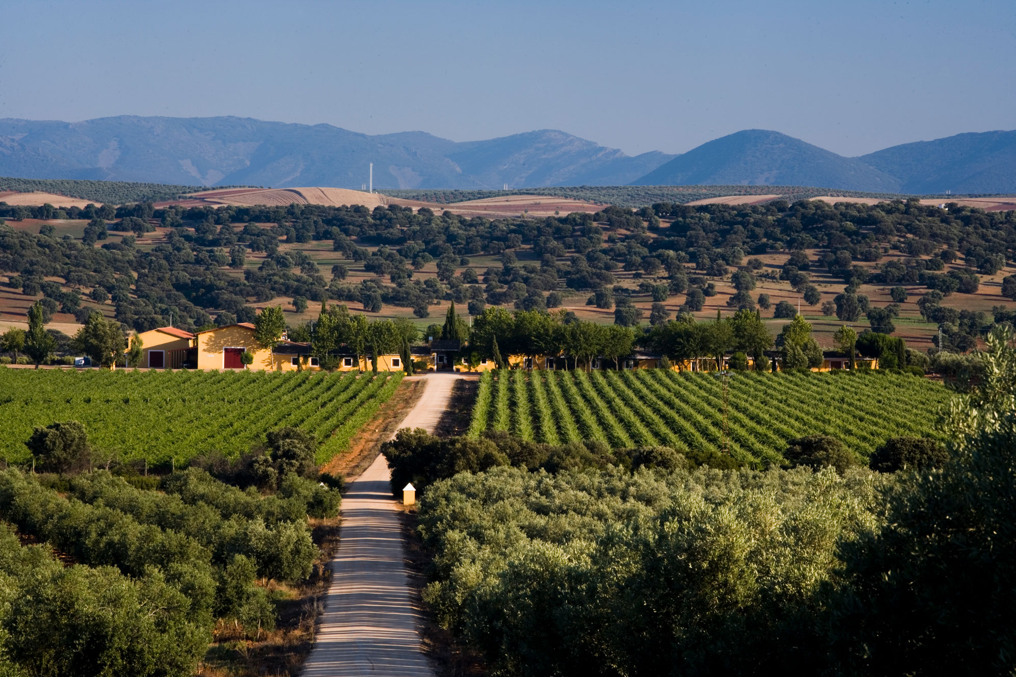 Descubre los Montes de Toledo